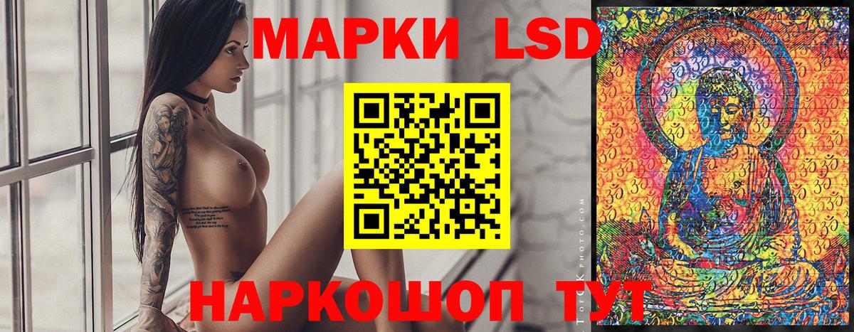 Наркотические марки 1,5мг  Наркотические марки 1,5мг  Канаш  Вход с VPN 