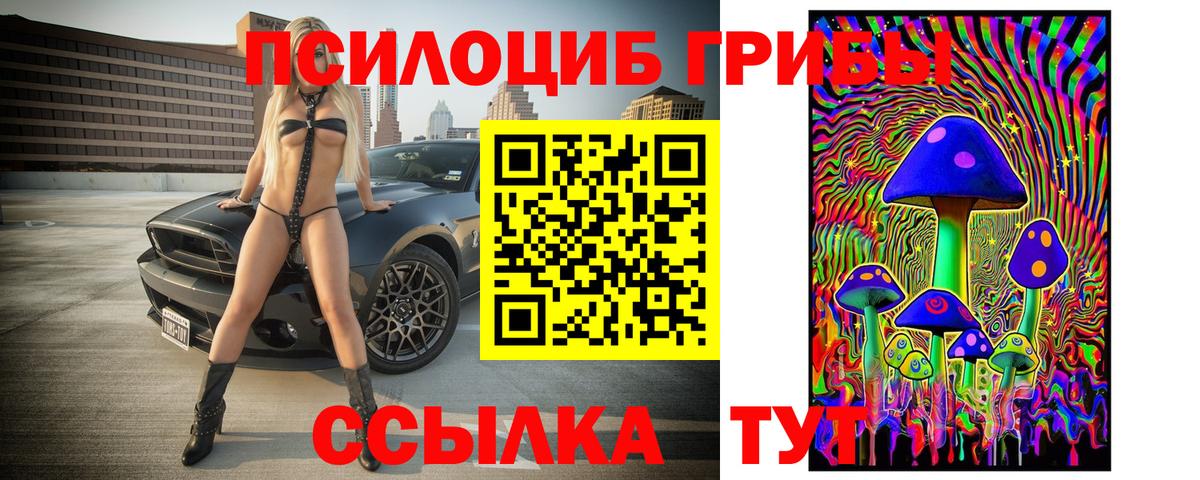 Псилоцибиновые грибы GOLDEN TEACHER  Псилоцибиновые грибы прущие грибы  Канаш  Вход с VPN 